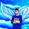gemini_stoy