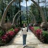 shelyndya
