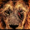 omarlouka988