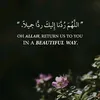 hehdgrre85