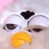 furby.95