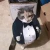 skotvcmokinge