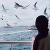 hado.alhusseini