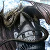 dragons40k