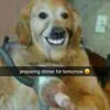 pizza_on_pineapple3