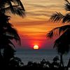 alexis_9885