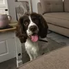 beckyking42