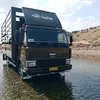 hsensalh2