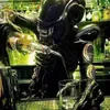 shadowsamurai262