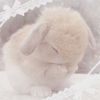 ellie.official5