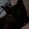 yourmotherslover_1