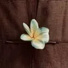 _Túc_Thiện_