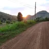 holowern