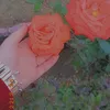 11roro2