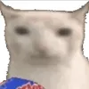 user4qyxa4jlp9