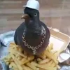 bobbobobobooobb