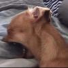 verywarmindeed