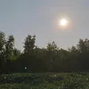 ulavaydo07