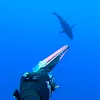 stefpap27