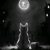 gatoxritual