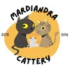 mardiandracattery