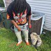 jumpoutgxngfatts