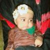 mustafarehan01