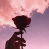 _sonxoxo_
