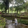 kepobangetkykdora18