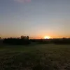 milyennev21