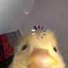 askdkfkg_