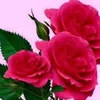 userm2ye71fv