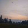belfire.b