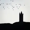 myinstagramni