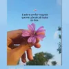 andreaoliveira5061