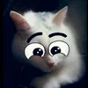 anufrieva_79