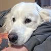 caffinatedmamabear87