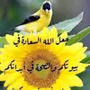 user156322561