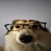 axoraaaaaaaaa