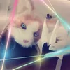 xxthundra_catxx
