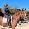 middleageequestrian