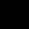 alideniz_36