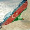 kartal_2708