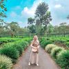 apt_aisyrahma