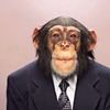 monke.business_
