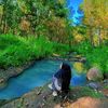 dhita_wsl