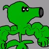 pvzshik