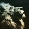 kevincarrizo_7