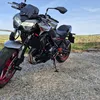 stefek1234