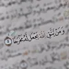 user6zvpxmj20w